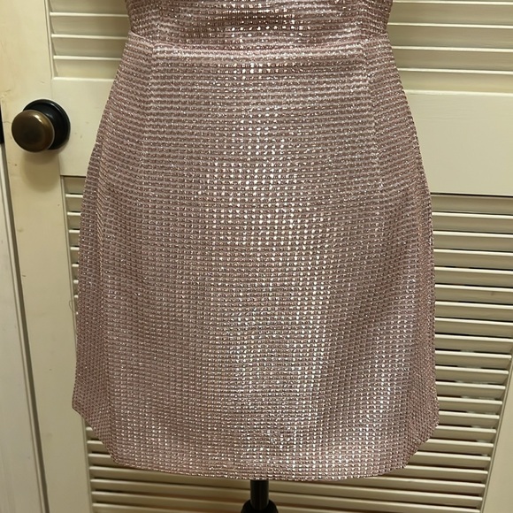 Lulus Earned Your Win Metallic Lace-Up Mini
Dress in Pink, Size Medium, NWT - Picture 6 of 17